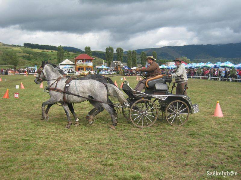 •  Fotó: Gergely Imre
