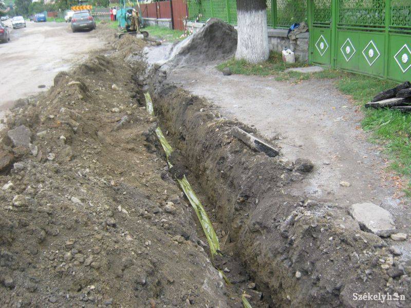 Képünk illusztráció •  Fotó: Pethő Melánia