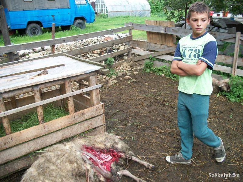 •  Fotó: Csibi Márti
