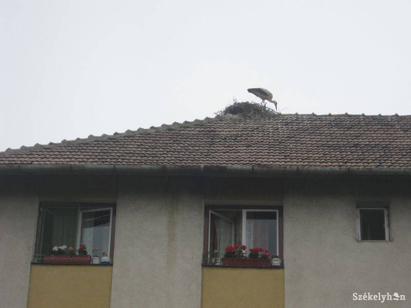 •  Fotó: Gergely Imre