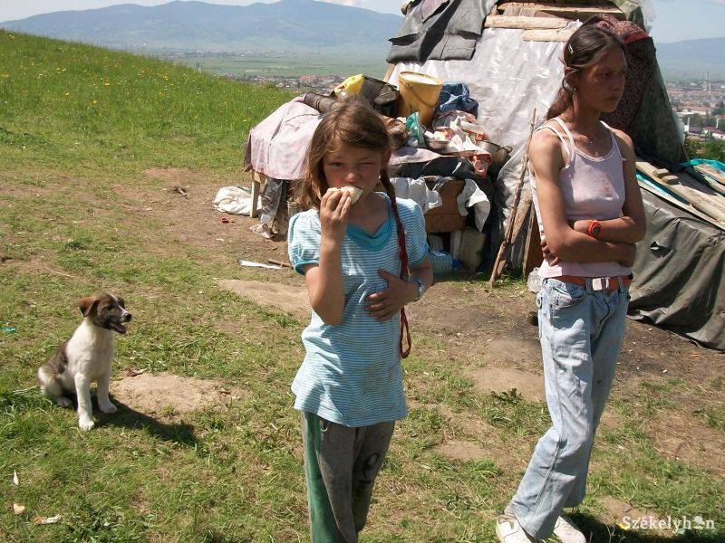 •  Fotó: Csibi Márti