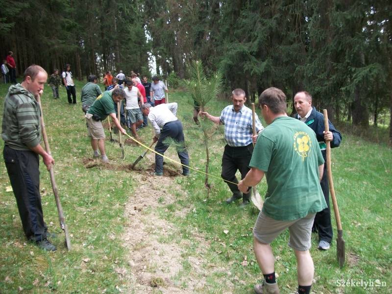 •  Fotó: Csibi Márti