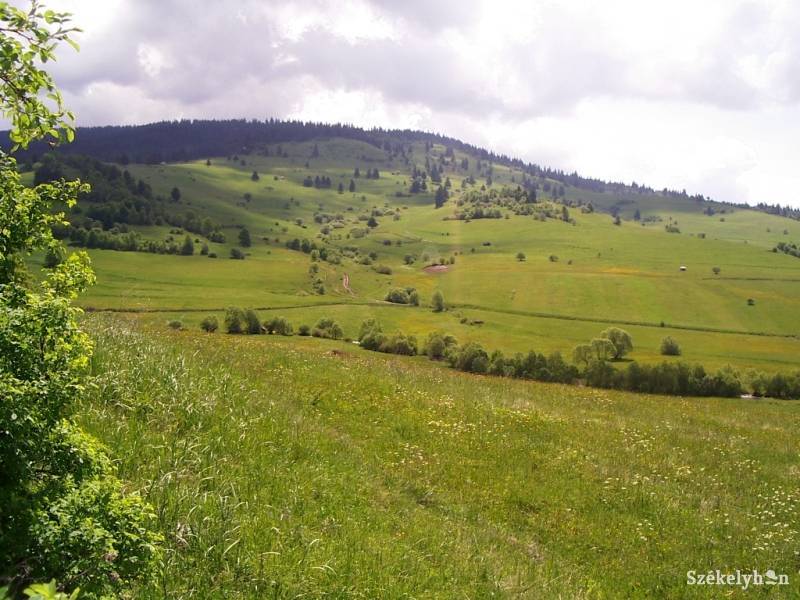 •  Fotó: Csibi Márti