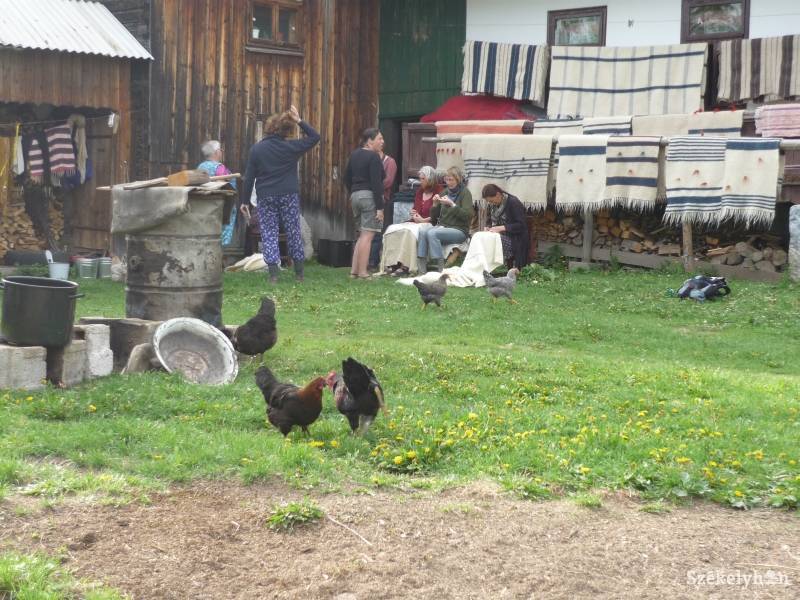 &bullet;  Fotó: Csibi Márti