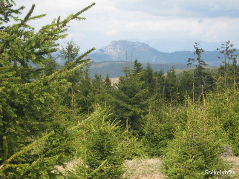 &bullet;  Fotó: Pethő Melánia