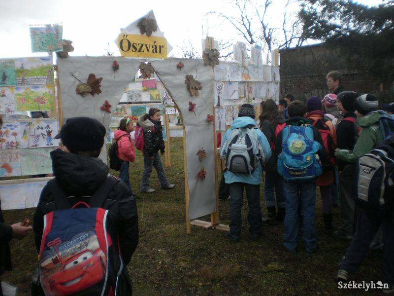 •  Fotó: Pethő Melánia