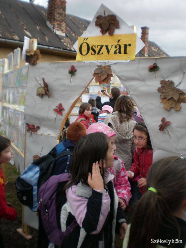 •  Fotó: Pethő Melánia