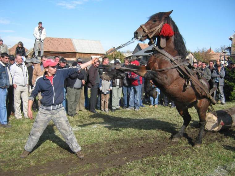 A gazdák ünnepe Alfaluban és Remetén
