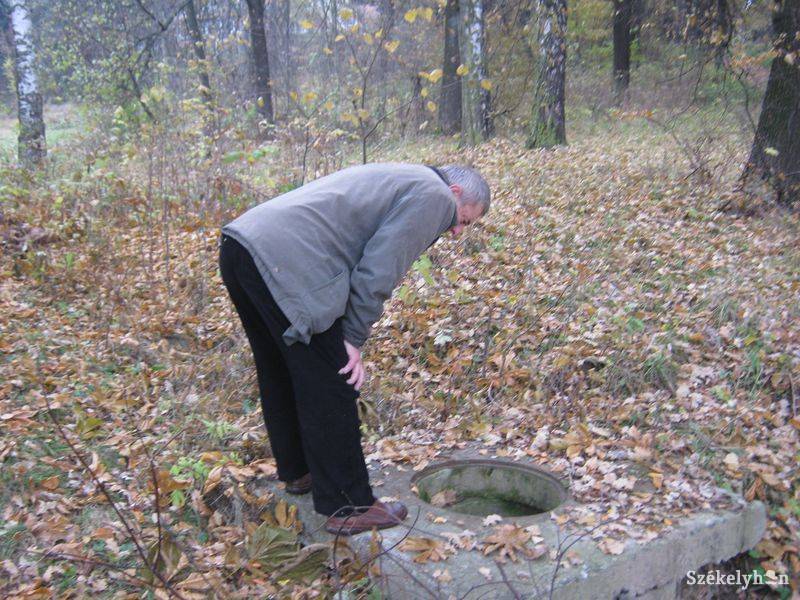 •  Fotó: Gergely Imre