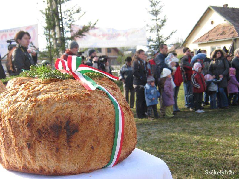 •  Fotó: Gergely Imre