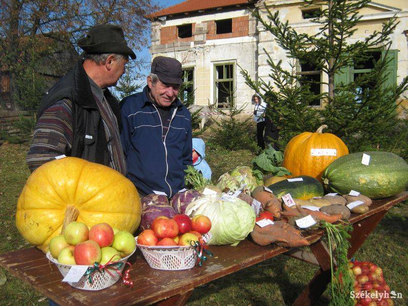 •  Fotó: Gergely Imre