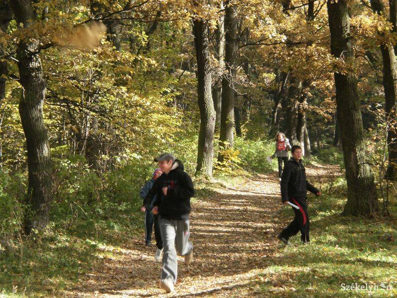 •  Fotó: Gergely Imre