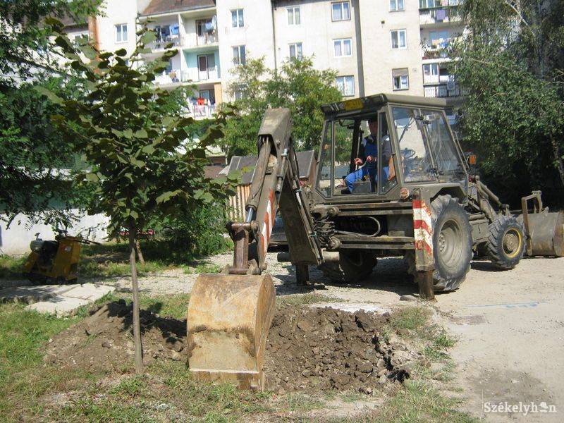 •  Fotó: Pethő Melánia