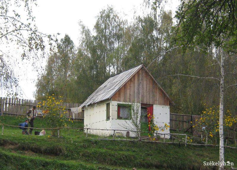 •  Fotó: Gergely Imre