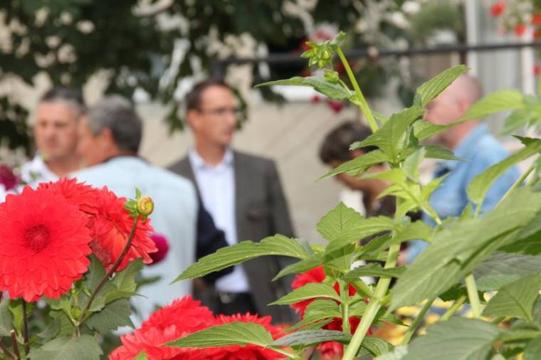 Kiértékelték a környezetszépítő versenyt