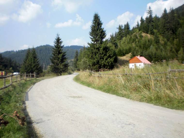 Aszfalt is kerül az erdei utakra