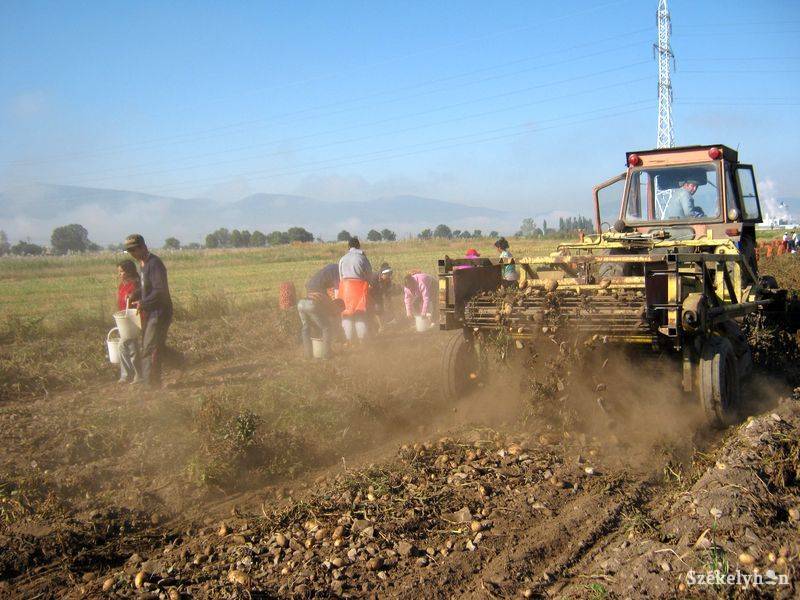 • Fotó: Pethő Melánia