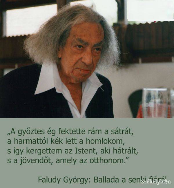 • Fotó: Pethő Melánia