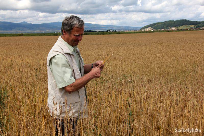 •  Fotó: Pethő Melánia