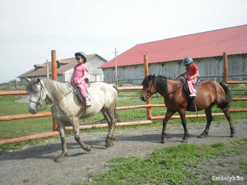 • Fotó: Pethő Melánia