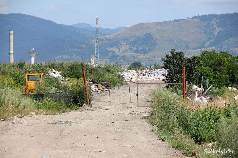 •  Fotó: Pethő Melánia