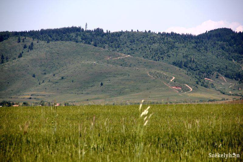 •  Fotó: Pethő Melánia