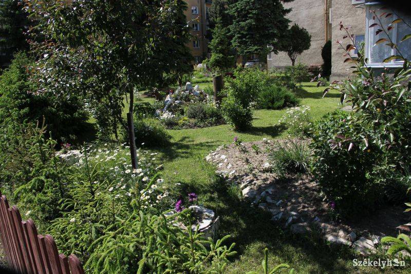 • Fotó: Pethő Melánia