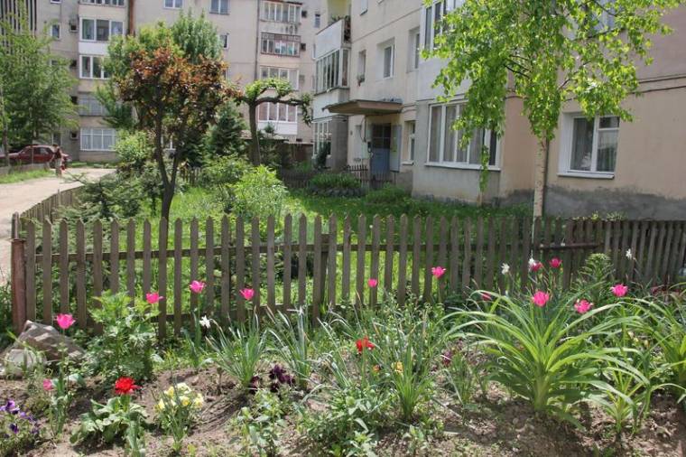 Otthonosabbá teszik a gyergyószentmiklósi lakótelepeket