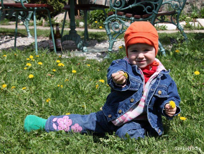 •  Fotó: Pethő Melánia