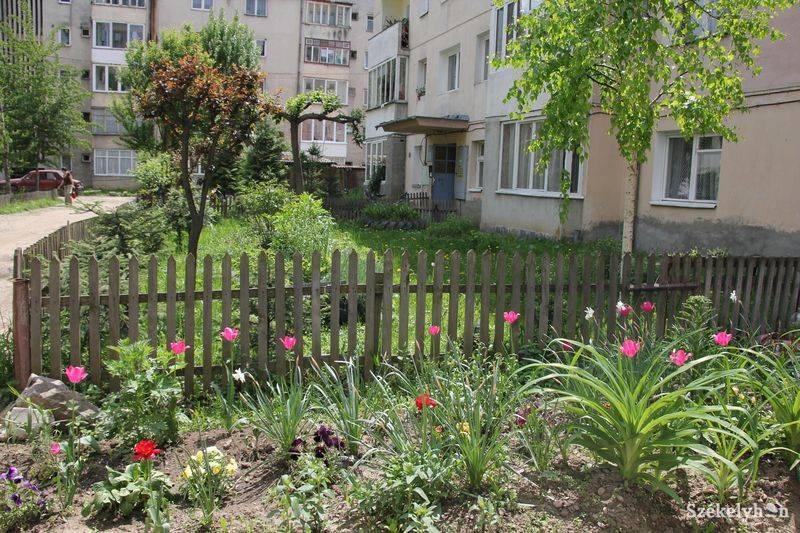 &bullet;  Fotó: Pethő Melánia