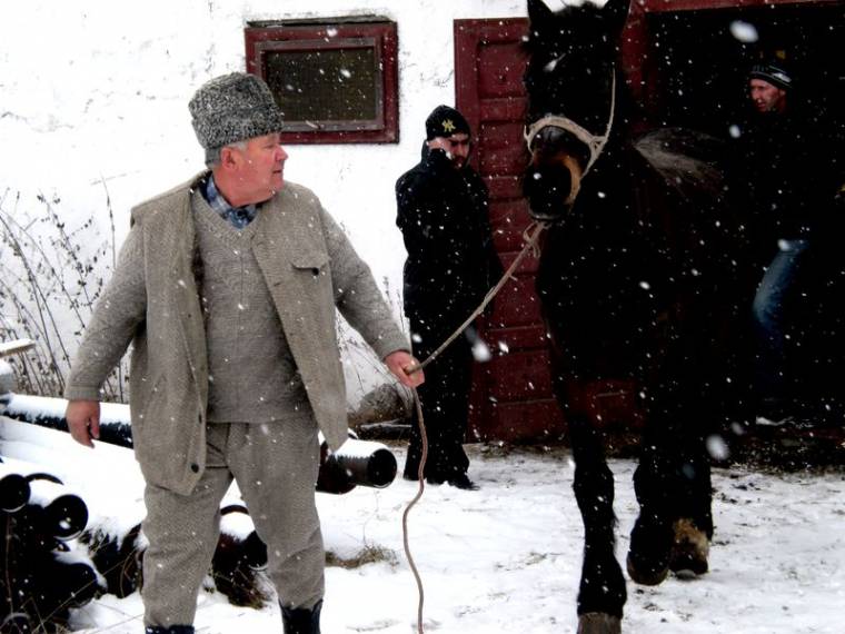 Árverésen leltek új gazdára a „fatolvajlovak”