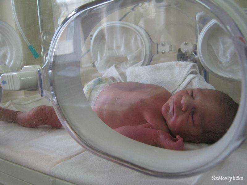 •  Fotó: Pethő Melánia