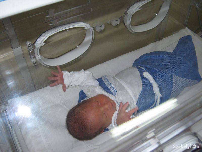 •  Fotó: Pethő Melánia