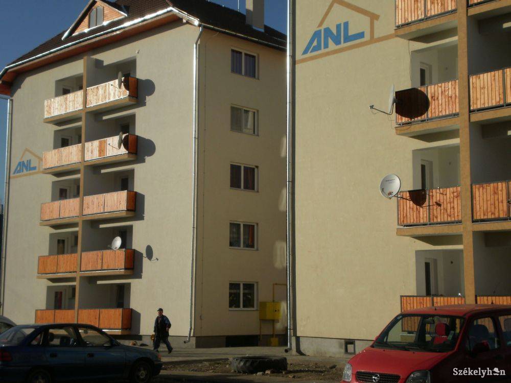 •  Fotó: Bajna Gyöngyi