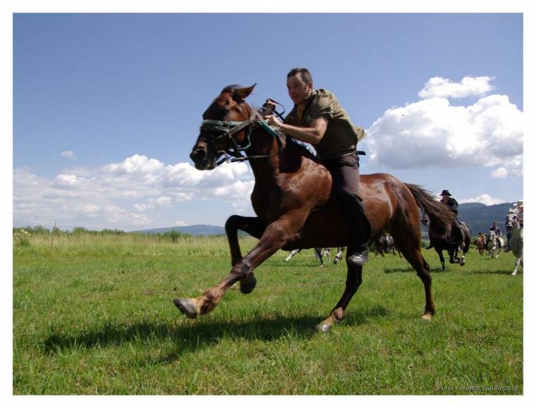 Az első marosszéki lófuttatás