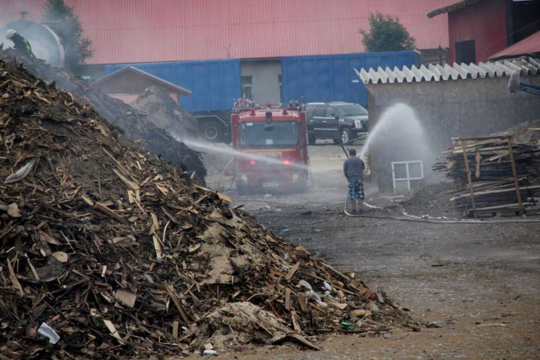 Tüzek az erdőkben és egy fafeldolgozóban