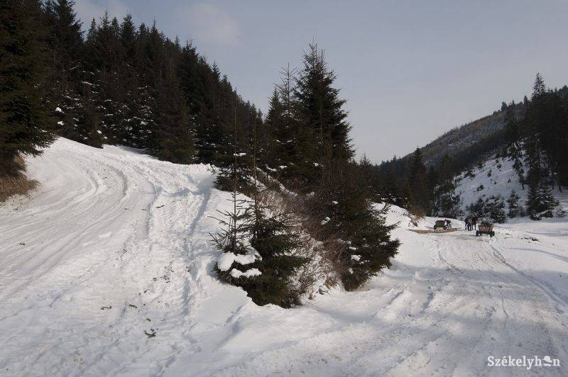 •  Fotó: Gergely Imre