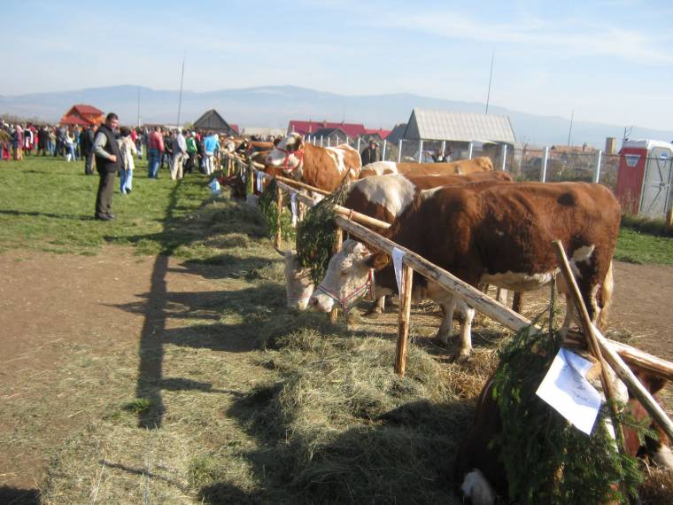 Sikeres gazdanap Remetén