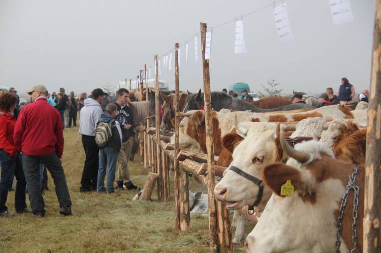 Ünneplik az alfalvi és borzonti gazdákat