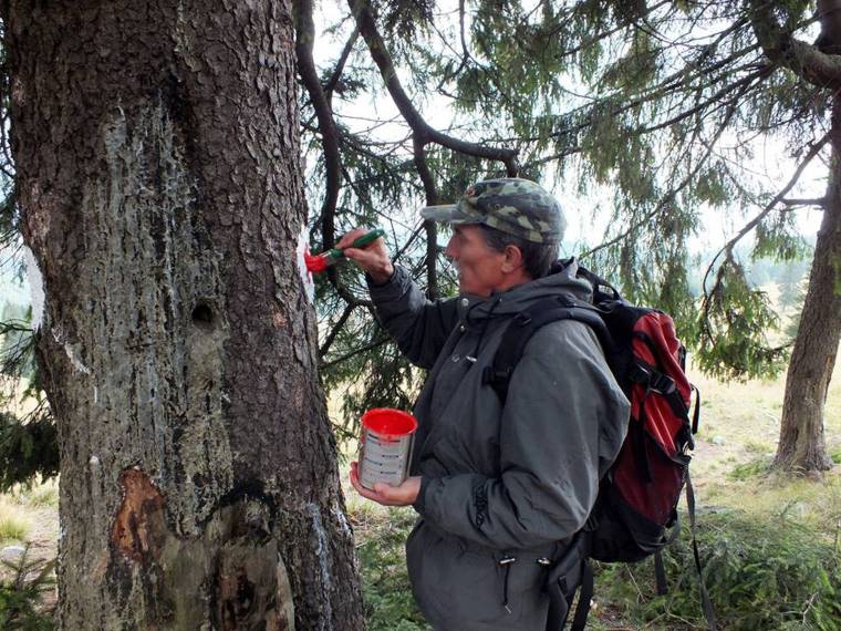 A biztonságos turizmusért