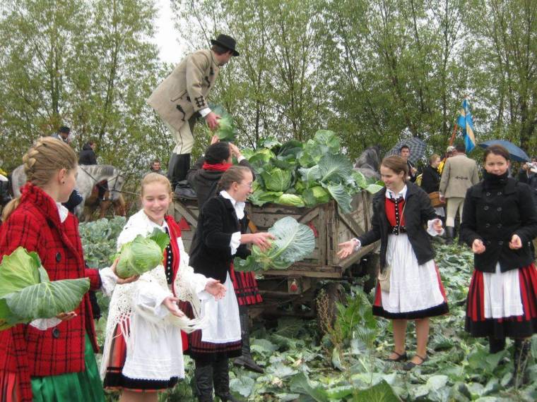 „Káposztás” ünnep Szárhegyen