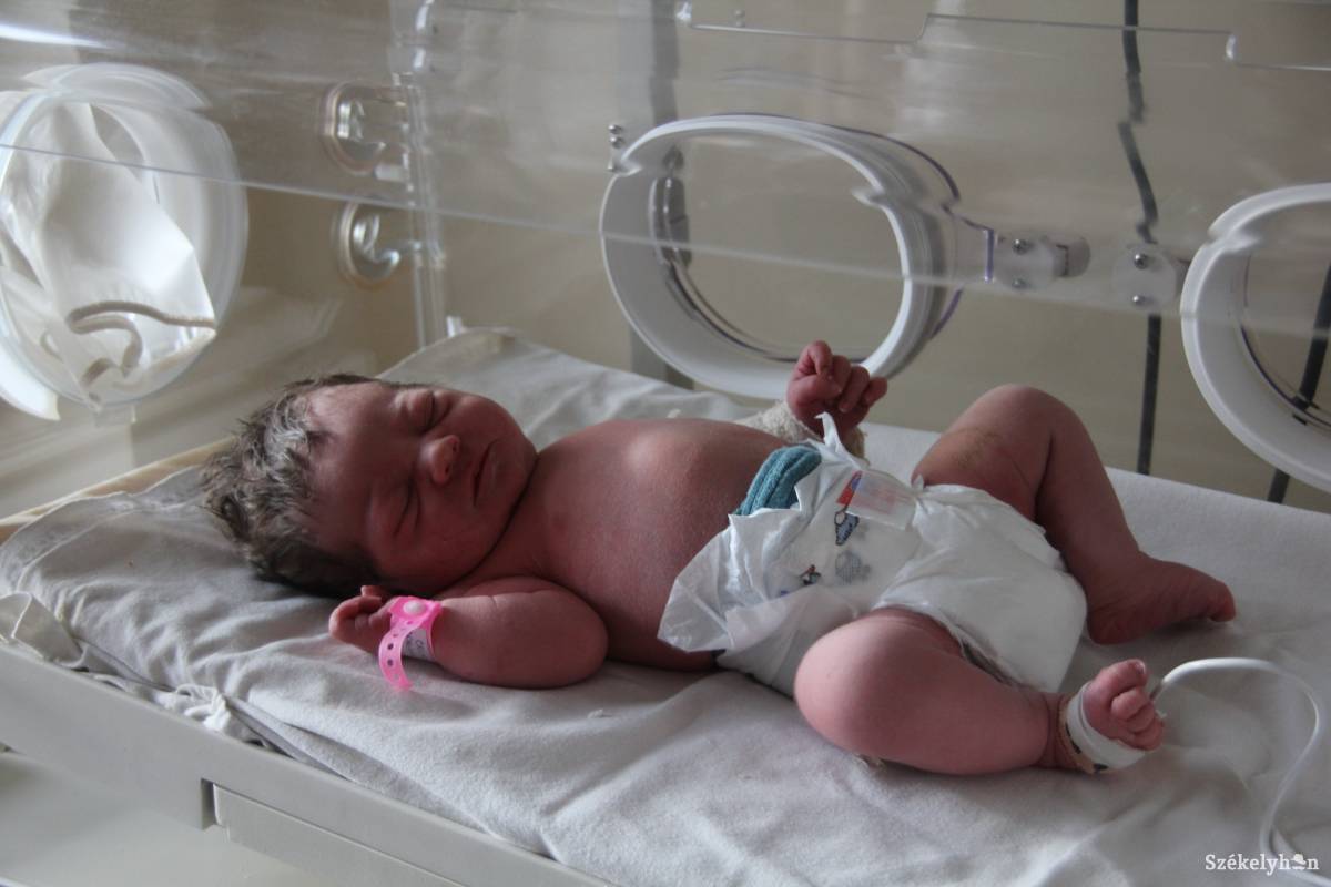 &bullet;  Fotó: Balázs Katalin