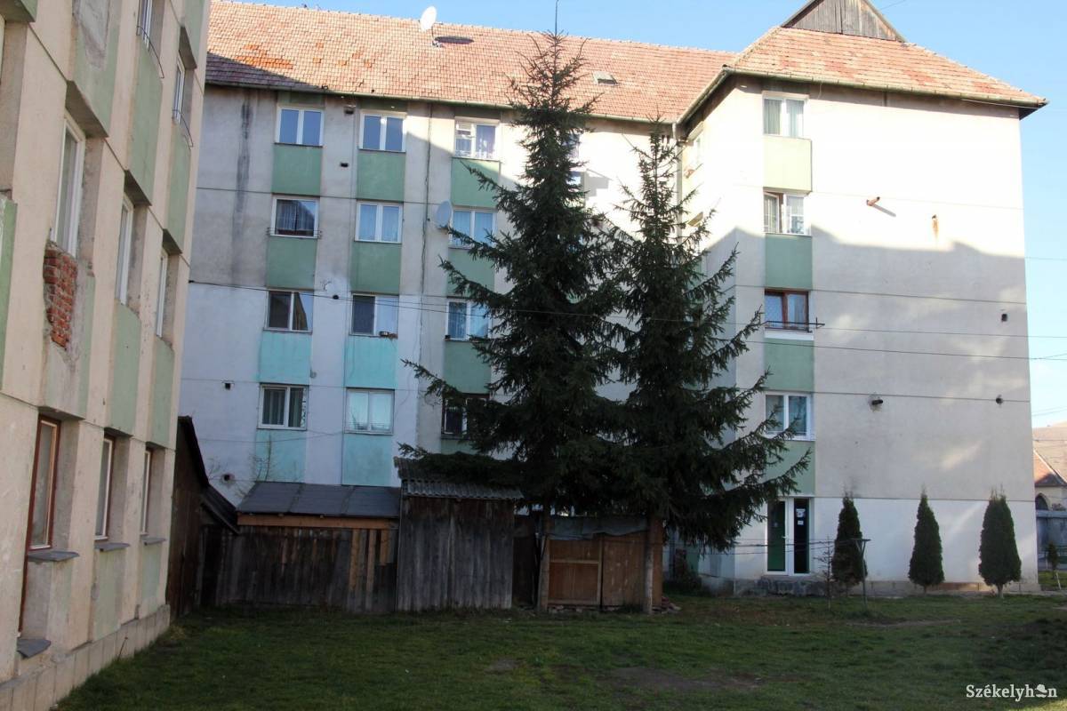 &bullet;  Fotó: Pethő Melánia