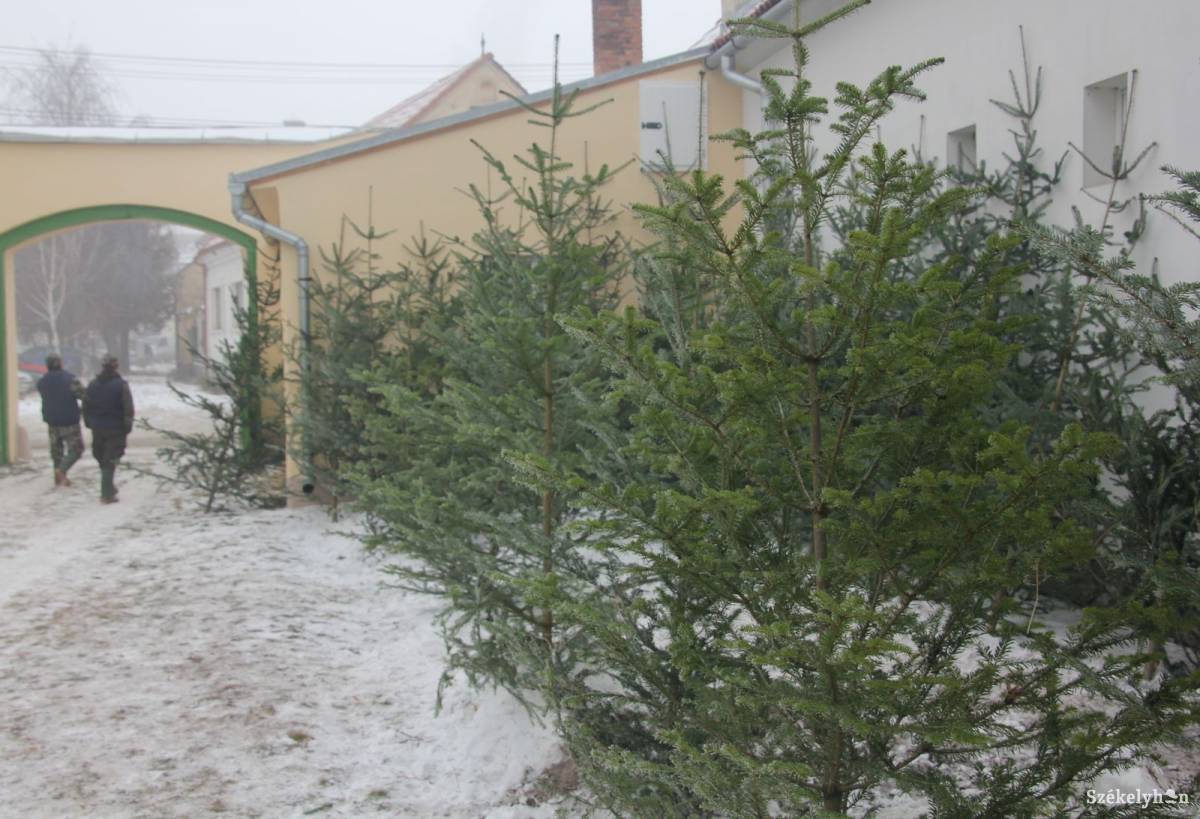 &bullet;  Fotó: Pethő Melánia