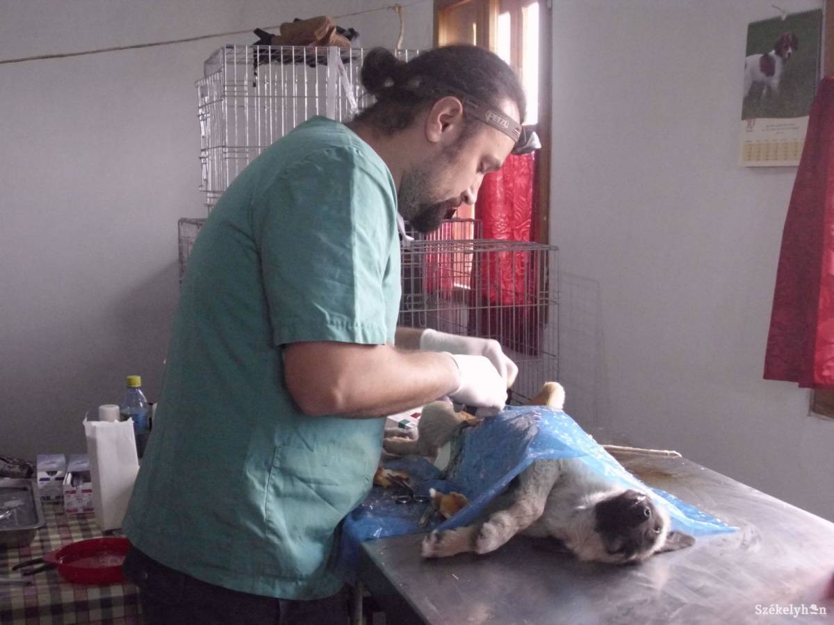 &bullet;  Fotó: Baricz Tamás Imola