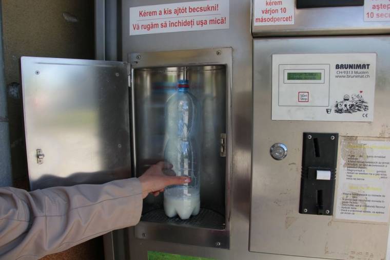 Vastehén-szaporulat Gyergyószentmiklóson