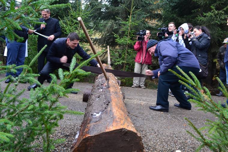 Jó  úton  erdőre,  mezőre