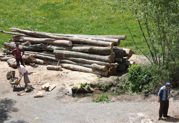 Munkára váltott büntetések