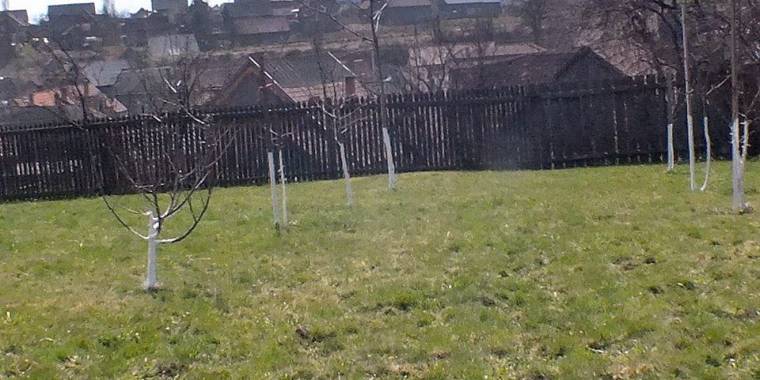 Nem jó vicc a falopás