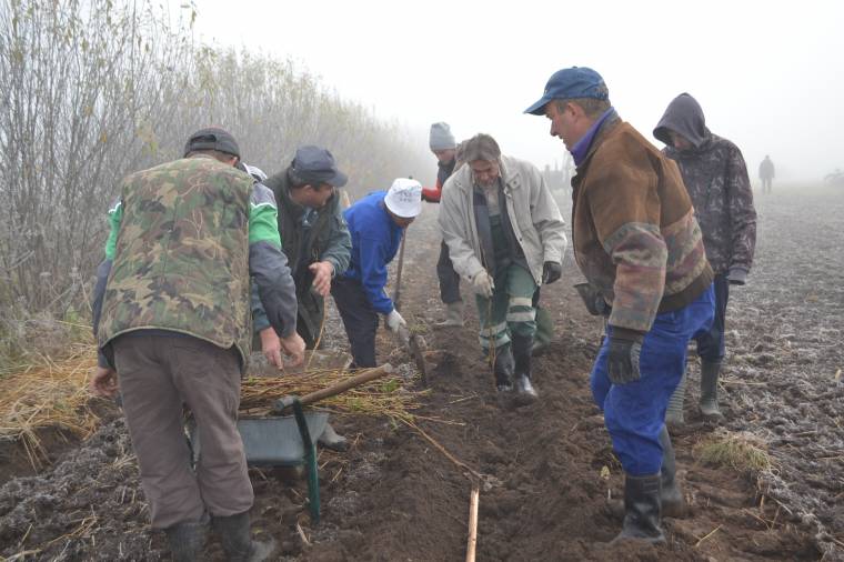 Egyhektáros ribiszkés létesült